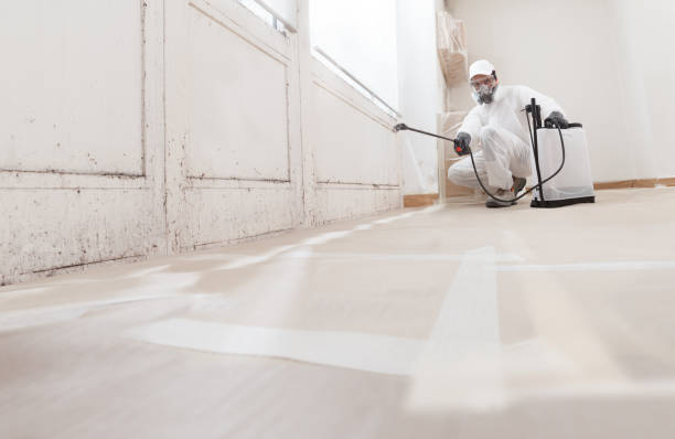24/7 Emergency Mold Cleanup experts in Reading, PA